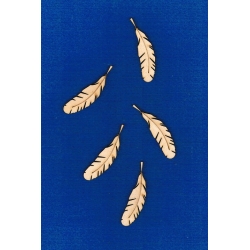 Piórka  6x1,5cm   -   komplet  5szt.